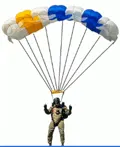 Modeling a Parachutist Modeling a Parachutist