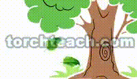 Animated illustration showing Introduction to Physics
